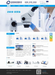 环瑞科技 专业网站建设与开发，助力企业数字化转型